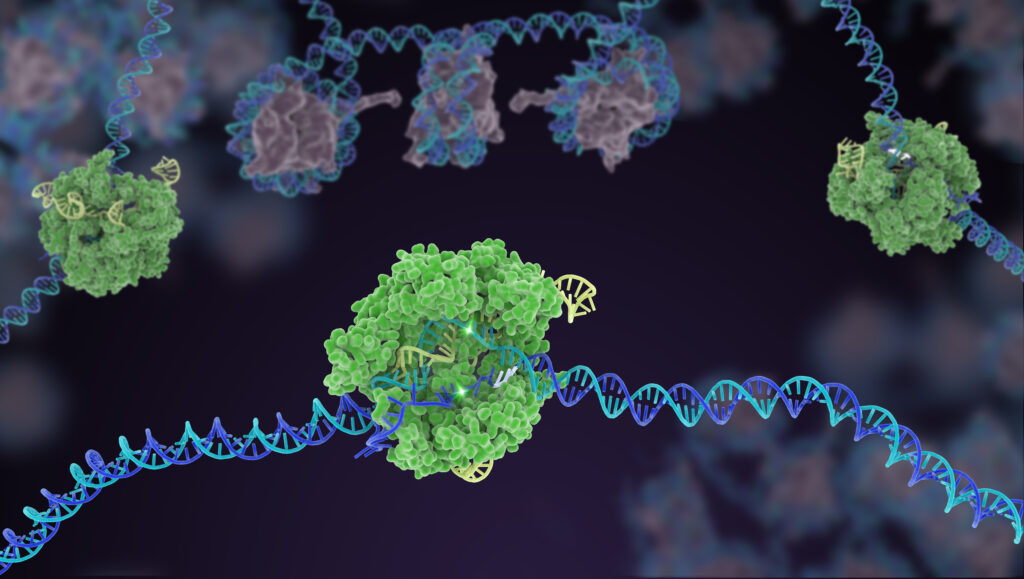 CRISPR