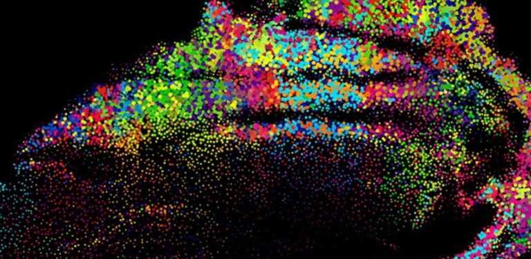Understanding Spatial Transcriptomics: Mapping Gene Expression in ...