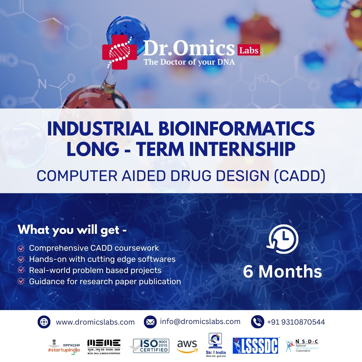 Computer Aided Drug Designing (CADD): Industrial Bioinformatics Long-term Internship (6 months)