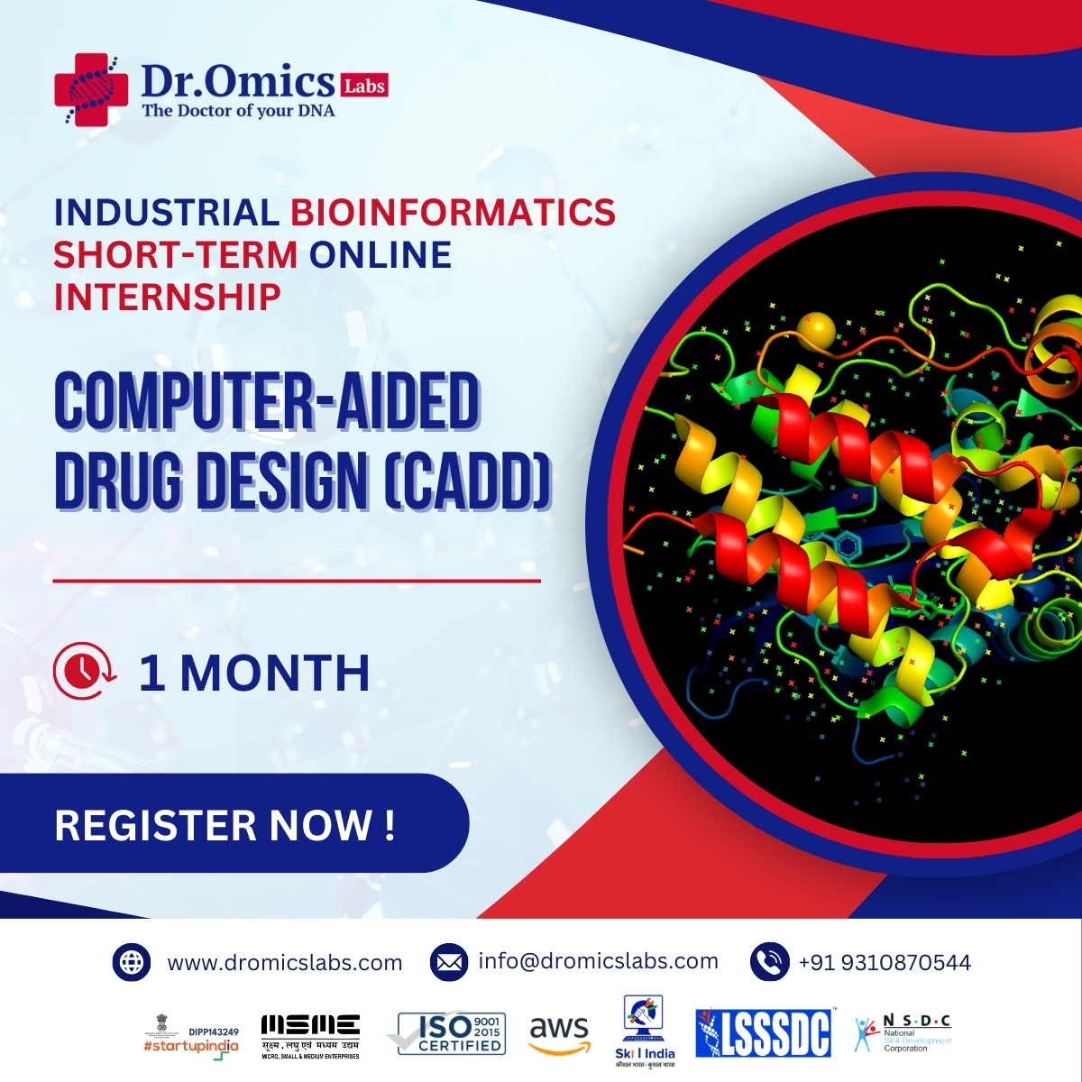 Computer Aided Drug Designing (CADD): Industrial Bioinformatics 1-month Internship