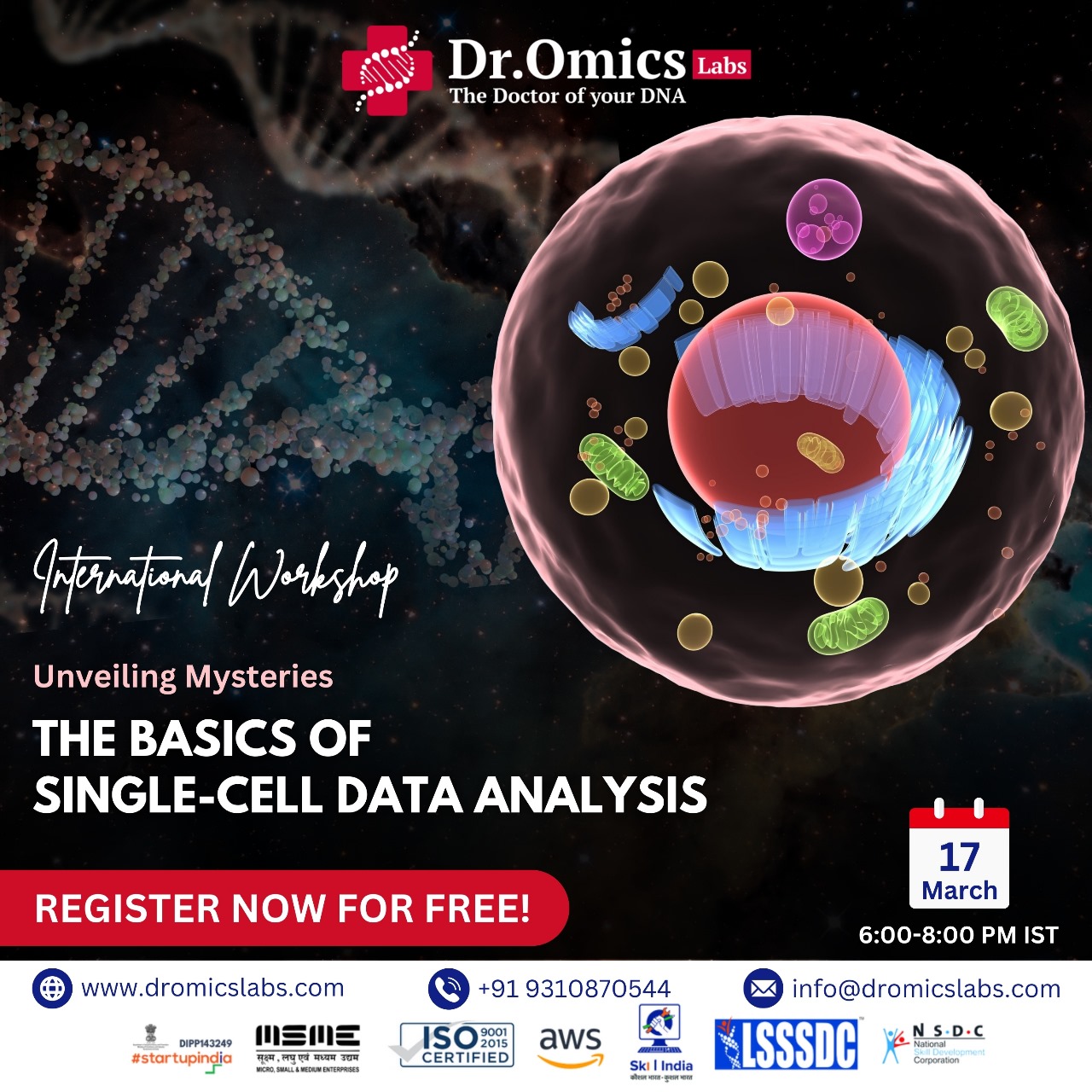 Unveiling Mysteries: The Basics of Single-cell Data Analysis